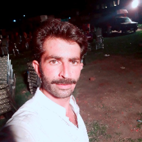 shaidali321 shaidali321
