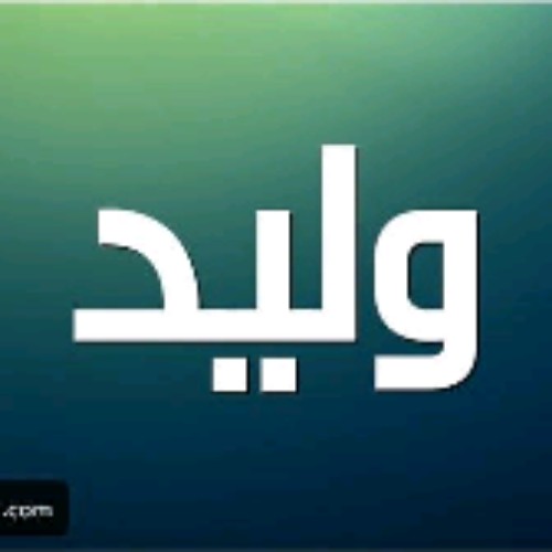WaledElgamal WaledElgamal