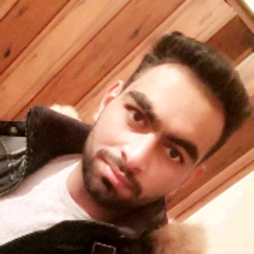 ASHRAFALSHIBLY ASHRAFALSHIBLY