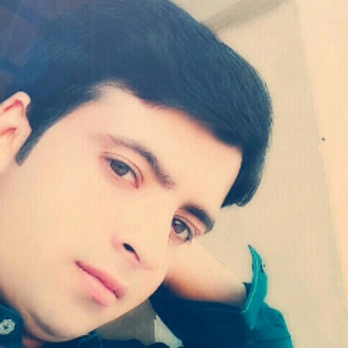 Husnain Husnain