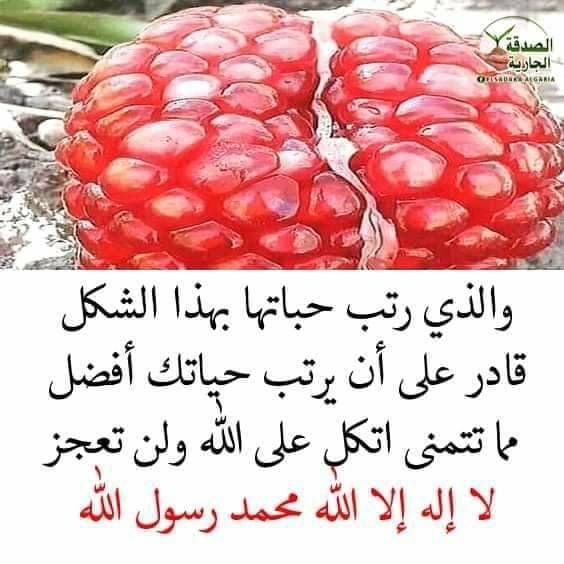 الذي يرتب حبتها بهذا الشكل Youtube