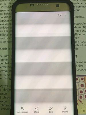 4360b58e-bced-4155-bafb-5df058bfe3d8.jpg 4360b58e-bced-4155-bafb-5df058bfe3d8.jpg