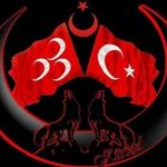 77bozkurt77