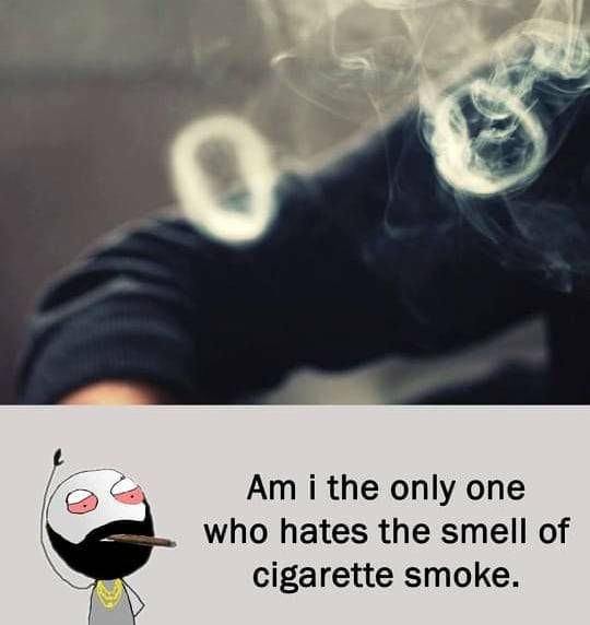 hate the smell of cigarette smoke I hate cigarette and smokers as well