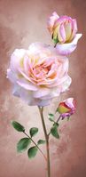Pink_Roses-d9562382-f9da-423d-b413-c3821bf0847e_496.jpg