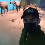 mousa55