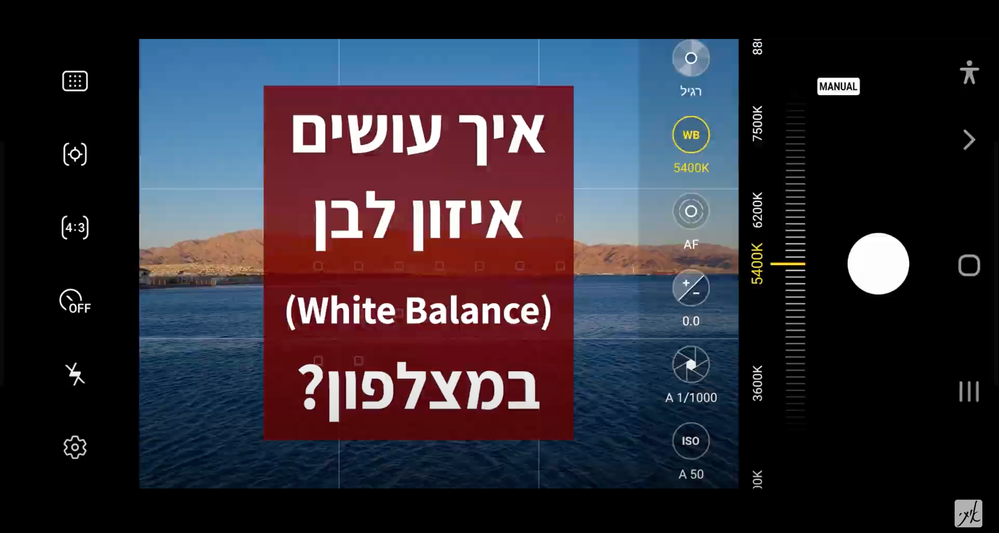 Screen Shot 2021-07-07 at 2.44.41.png