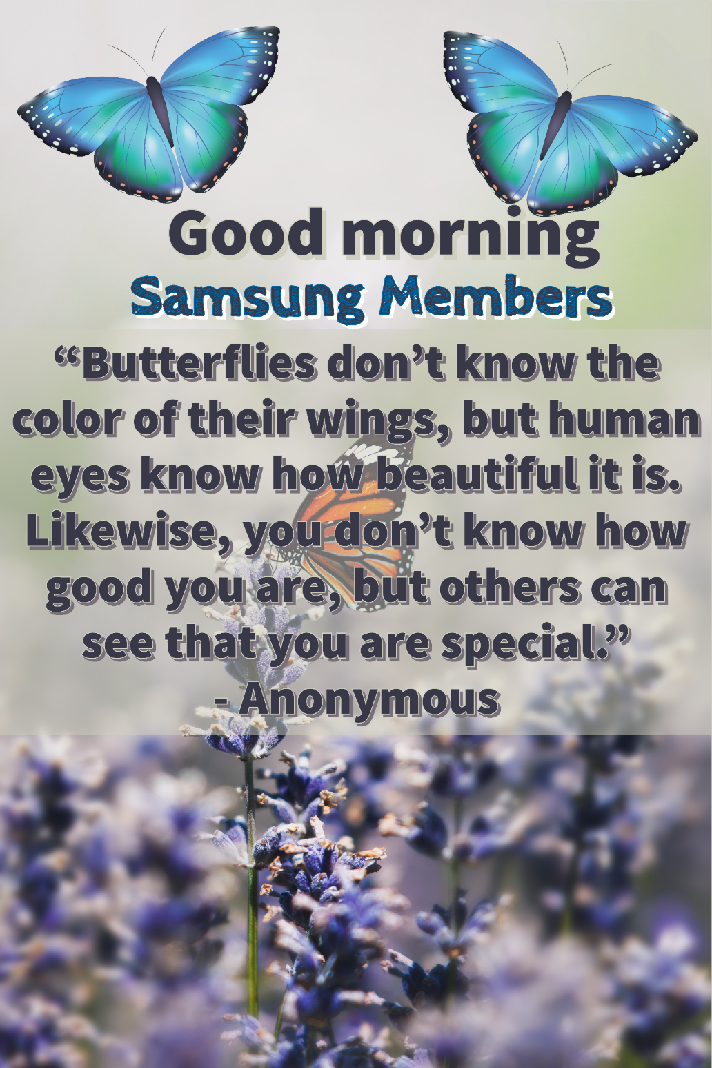 Good morning members - Samsung Members