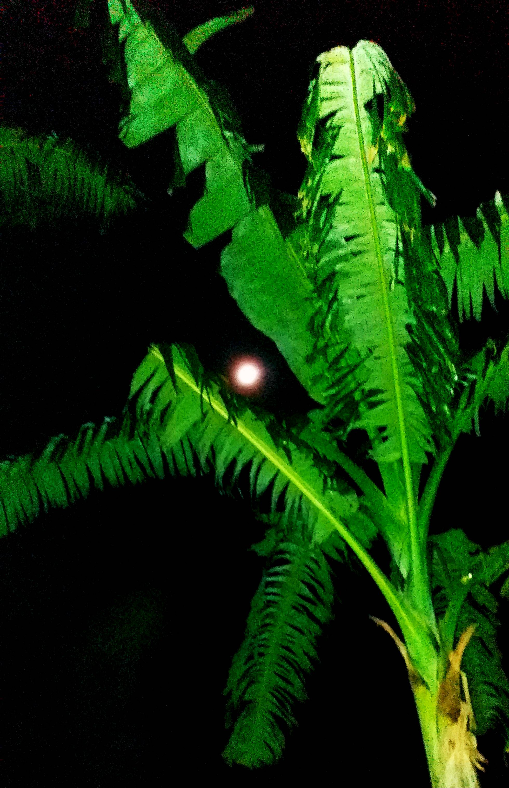 WHAT IS HTTPS D DOCS LIVE NET visual data 7