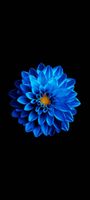 siriapps_amoled_42063_36984_1623322291.jpg