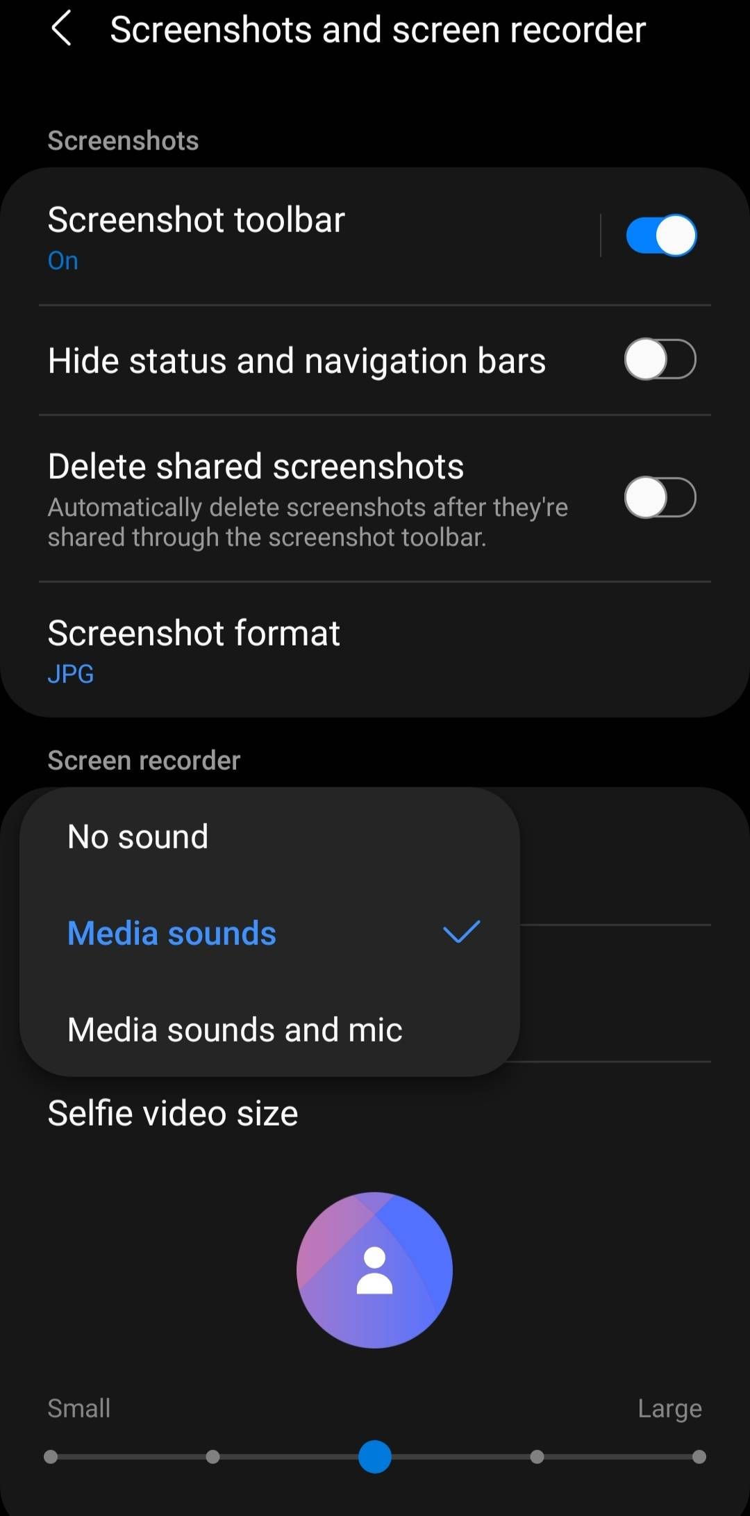 Screen recorder not recording audio Samsung Members
