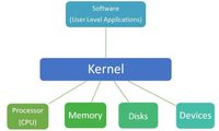 kernel_95550_1648673996.jpg