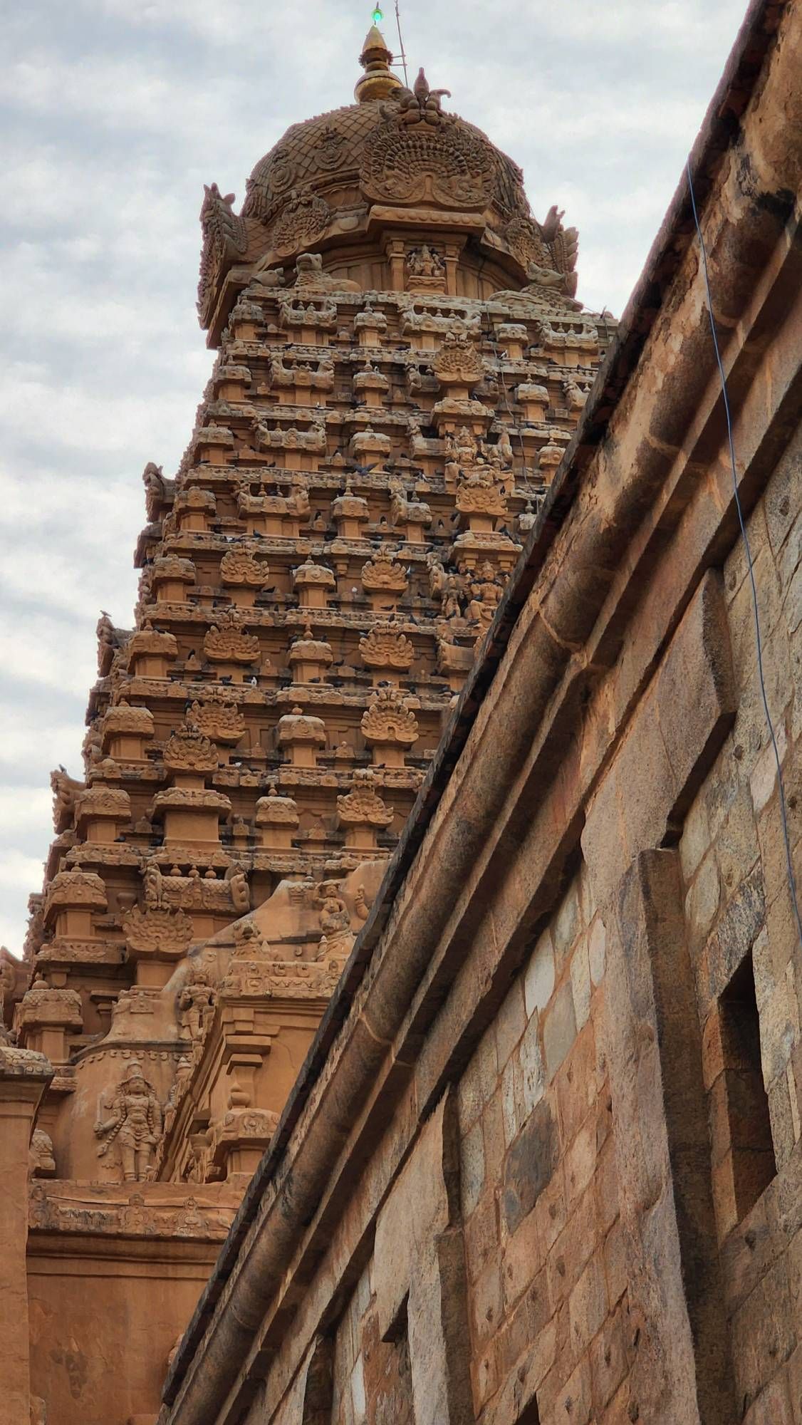 Thanjavur Big Temple Samsung Members