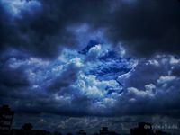 20220705_143104_4539_1657009864.jpg