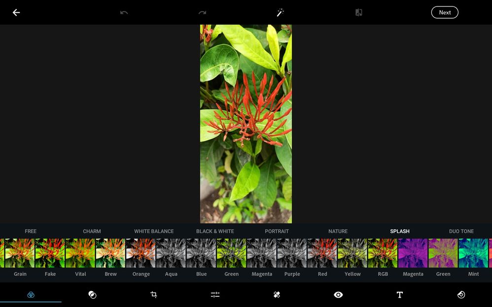 image image