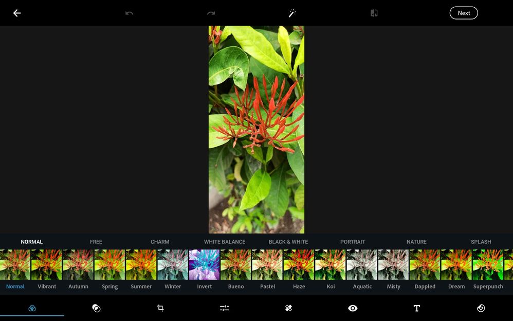 image image