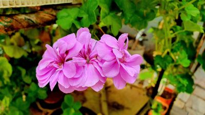 20220710_163150.jpg