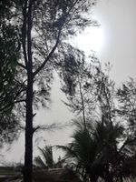 20220123_151817_126990_1642931297.jpg
