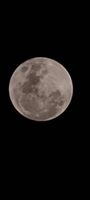20221009_202014_1000029390_1665339624.jpg 20221009_202014_1000029390_1665339624.jpg