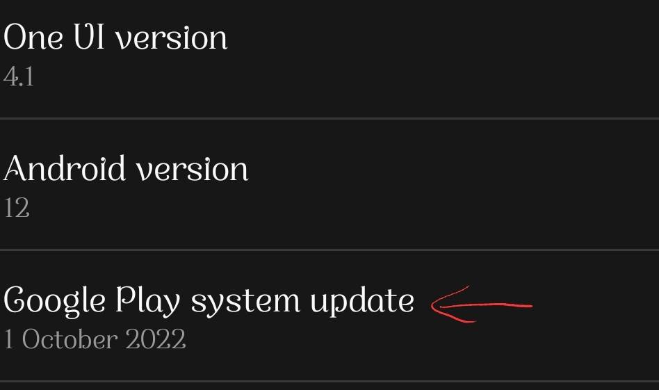 Google Play system update Samsung Members