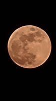 20221108_181642_1000067092_1667920612.jpg 20221108_181642_1000067092_1667920612.jpg