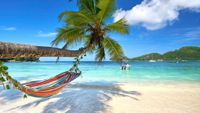 turquoise-3840x2160-beach-palm-4k-19758_2789_1659175802.jpg