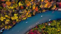 river-5120x2880-forest-colors-autumn-5k-23864_2787_1659175801.jpg