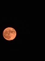 20220713_205117_5019_1657734680.jpg 20220713_205117_5019_1657734680.jpg