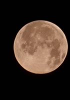 20230406_051526_1000004289_1681686934.jpg