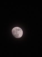 20230601_203026_1000014076_1685640629.jpg 20230601_203026_1000014076_1685640629.jpg