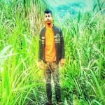riadtf