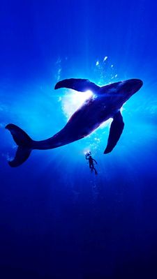 f27c5ec9-08f3-49f2-b41c-2f4f7f1bcf25.jpg f27c5ec9-08f3-49f2-b41c-2f4f7f1bcf25.jpg