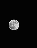 20230603_202753 (1)_1000000510_1695991725.jpg
