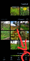 Screenshot_٢٠٢٤٠٣٠٦_١٤٠٩٢٤_Gallery_1000011455_1709723430.png