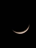 20240411_205238_1000052129_1712857961.jpg