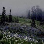aliliithh