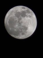 20240522_205243_1000081463_1716400371.jpg
