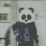 qaeso