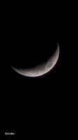 20250202_192420_1000028541_1738513464.jpg