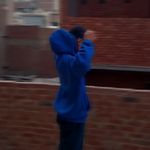 Hamox33