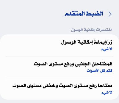 Screenshot_٢٠٢٥٠٢٠٨_٠٩٣٣٠٤_Accessibility.jpg