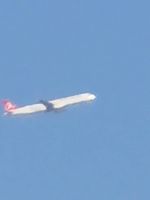 20250125_111703_1000009702_1737793023.jpg
