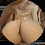 emsera