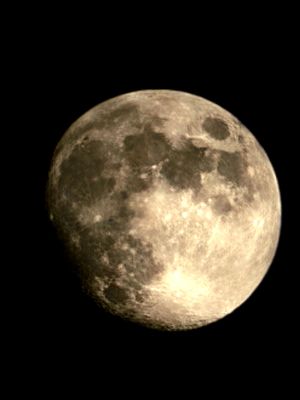 20250311_213025.jpg