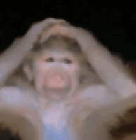 1744271982395.gif