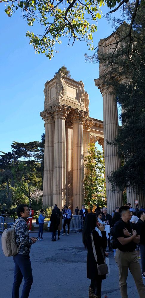 image image