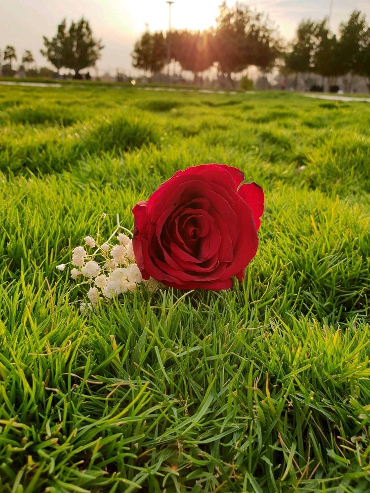 image image
