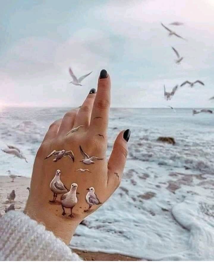 image image
