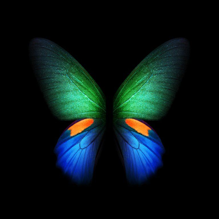 Galaxy Fold Live  wallpapers  Samsung  Members