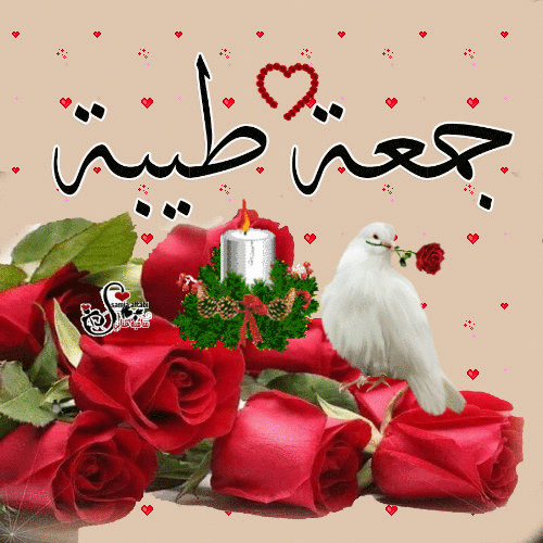 892600iCD623A861E162DF9